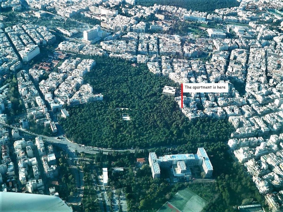 Cozy In Ilisia With Urban Forest View Atény